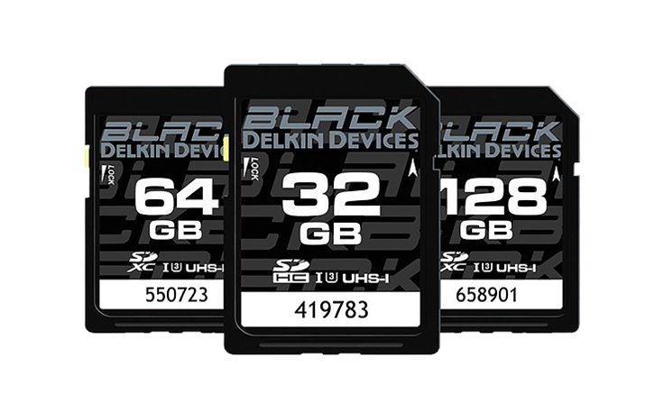 Delkin_SD_Card.png